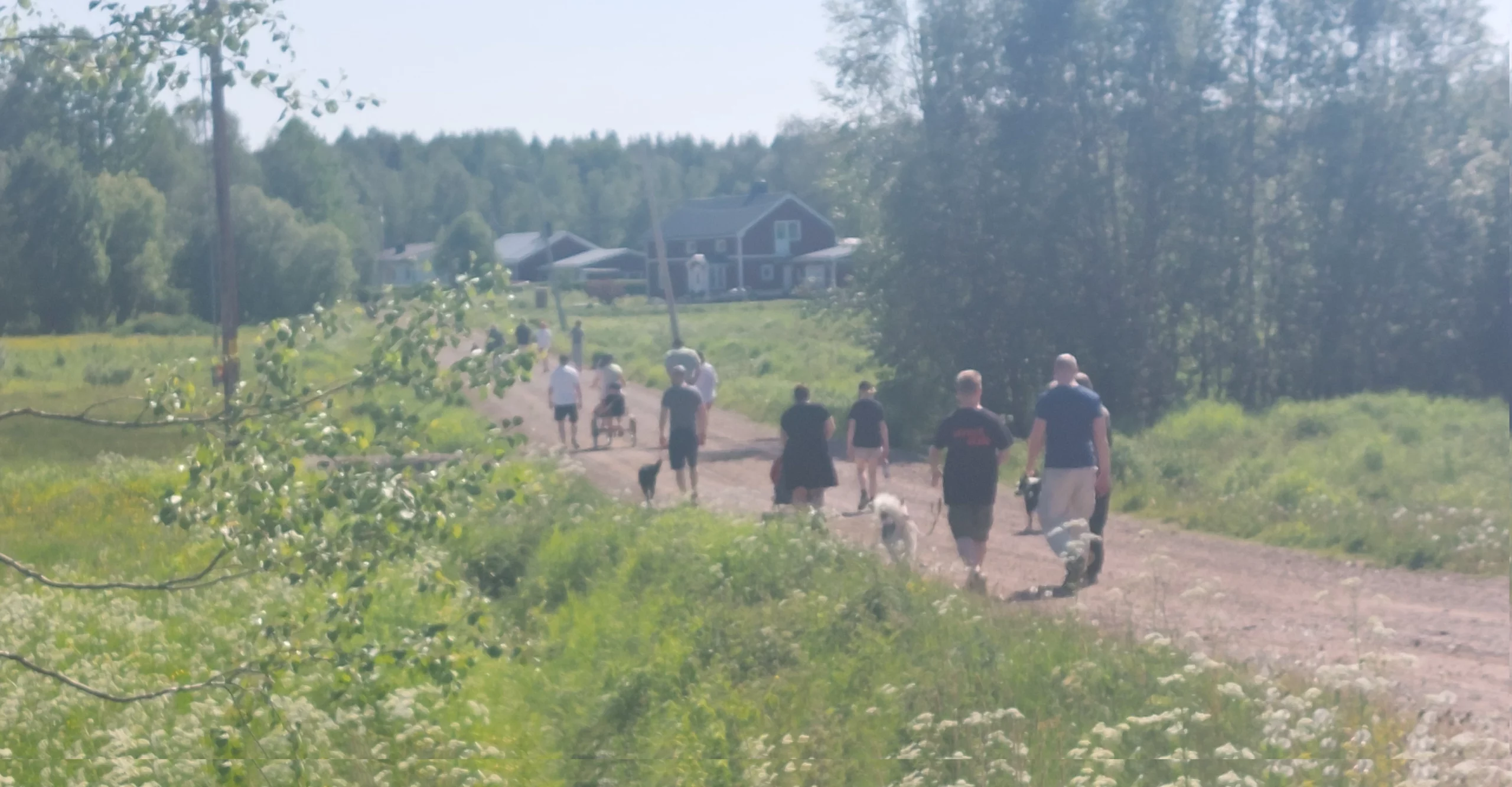Människor promenerar längs landsväg i Ersnäs